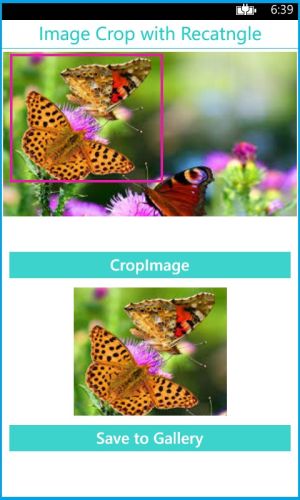 image crop with recatngle